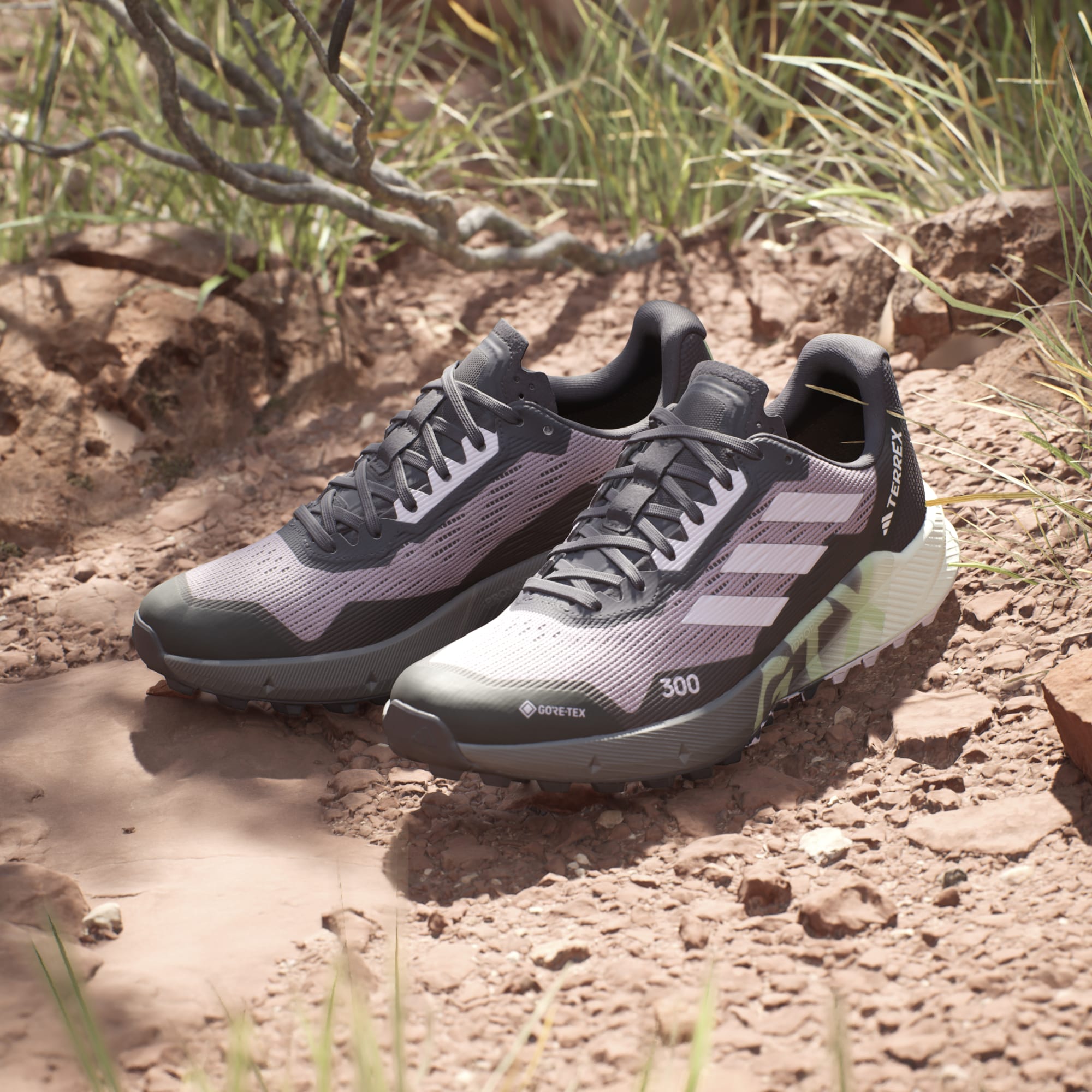 Terrex agravic gtx shoes womens store